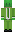 skin of a player