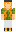 skin of a player