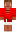 skin of a player