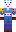skin of a player