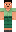 skin of a player