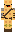 skin of a player