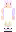 skin of a player
