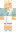 skin of a player