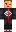 skin of a player