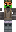 skin of a player