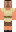 skin of a player