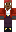 skin of a player