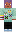 skin of a player