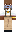 skin of a player