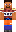 skin of a player