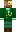 skin of a player