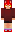 skin of a player