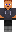 skin of a player