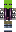 skin of a player