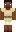skin of a player