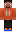 skin of a player
