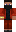 skin of a player