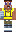 skin of a player