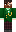 skin of a player