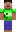skin of a player