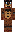 skin of a player