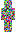 skin of a player