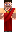 skin of a player