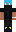 skin of a player