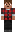 skin of a player