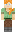 skin of a player