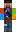 skin of a player