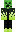 skin of a player