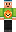skin of a player