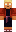 skin of a player