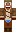 skin of a player