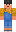 skin of a player