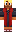 skin of a player