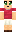 skin of a player