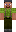 skin of a player