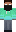 skin of a player