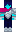 skin of a player