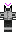 skin of a player