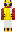 skin of a player