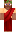 skin of a player
