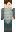 skin of a player