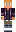 skin of a player