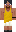 skin of a player