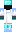 skin of a player