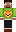 skin of a player